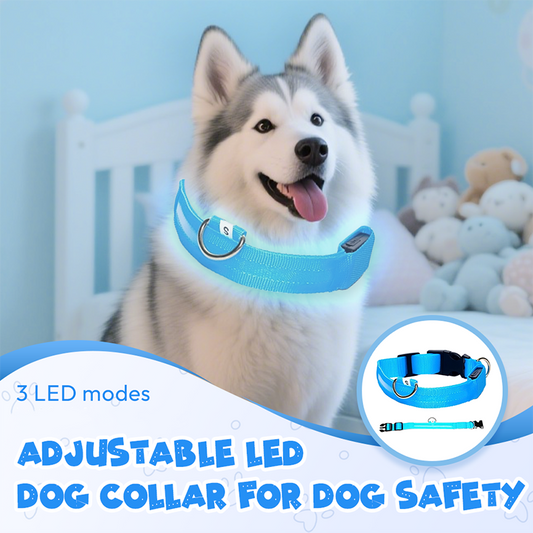📢📢 55% DE RÉDUCTION ! ✨Collier LED réglable pour la sécurité des chiens