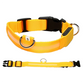 📢📢 55% DE RÉDUCTION ! ✨Collier LED réglable pour la sécurité des chiens