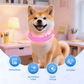 📢📢 55% DE RÉDUCTION ! ✨Collier LED réglable pour la sécurité des chiens