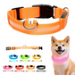 📢📢 55% DE RÉDUCTION ! ✨Collier LED réglable pour la sécurité des chiens
