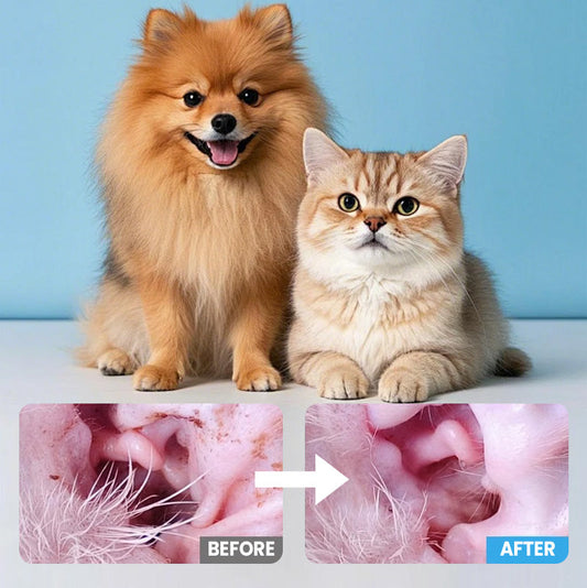 📢📢5 0% DE RÉDUCTION ! ✨Lingettes nettoyantes pour chiens et chats