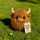 🎅Prévente de Noël 50 % DE RÉDUCTION🎁Peluche vache des Highlands pour soutien émotionnel🎉
