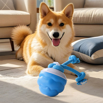 📢📢50% de réduction !!! 🎅 Balle Interactive Électronique Apaisante pour Animaux de Compagnie – Trois Modes, Évitement des Obstacles & Plus! 🐶💡
