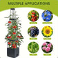 📢📢60 % de réduction !! ⏰ Jardinières Surélevées avec Treillis Intégré – Arrosage Automatique & Montage Sans Outils