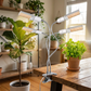 📢📢50 % DE RÉDUCTION !!!⏰Lampe LED pour la culture des plantes avec minuterie et pince