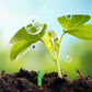📢📢5 achetés，5 offerts⏰Bâtonnets d'engrais pour plantes à libération lente