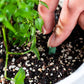 📢📢5 achetés，5 offerts⏰Bâtonnets d'engrais pour plantes à libération lente