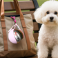 📢📢40% DE RÉDUCTION !! ⏰ Bouteille d'eau pliable pour animaux – Portable, étanche et idéale pour les voyages ✨💧