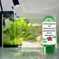 📢📢Achetez 5 et obtenez 5 gratuits⏰Comprimé Puissant de Purification de l'Eau pour Aquarium