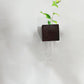 Magnetic Wooden Vase with Test Tube