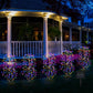 💐🌼🪴 OFFRE LIMITÉE -50% ! Lumières Décoratives de Jardin Solaires – 100 LED, IP55 & Installation Facile (Blanc/Multicolore, 60 cm)