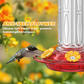 📢📢Stock très limité - Ne tardez pas !!! ⏰Hanging Hummingbird Feeder with Ant Moat