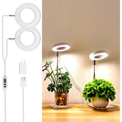 📢📢40 % DE RÉDUCTION !!! ✨Lampe de culture LED Angel Ring