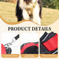 📢📢40 % DE RÉDUCTION !! ⏰Harnais anti-traction pour chien avec laisse et collier à LED