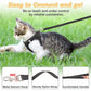 📢📢50 % DE RÉDUCTION !! ⏰Ensemble harnais et laisse en maille réfléchissante pour chats et petits chiens