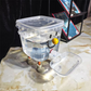 📢📢40 % DE RÉDUCTION !! ⏰Distributeur d'eau pour animaux de compagnie à grande capacité