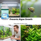 📢📢1 acheté， 1 offert !! ⏰Comprimés effervescents pour des aquariums d'une clarté cristalline