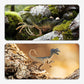 📢📢40% DE RÉDUCTION !! ⏰Coffret Dinosaures Éducatif pour Enfants – Figurines Ultra Réalistes, Caoutchouc Résistant & Boîte de Rangement T-Rex for une Aventure Jurassique à la Maison ✨🌋
