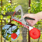 📢📢50 % DE RÉDUCTION !! ⏰Attacheur de vignes multifonction – Liage pour arbres fruitiers, plants de tomates, vignes & jardin potager – Outil pratique pour tuteur grand modèle🌱✂️