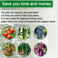 📢📢50 % DE RÉDUCTION !! ⏰Attacheur de vignes multifonction – Liage pour arbres fruitiers, plants de tomates, vignes & jardin potager – Outil pratique pour tuteur grand modèle🌱✂️