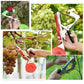 📢📢50 % DE RÉDUCTION !! ⏰Attacheur de vignes multifonction – Liage pour arbres fruitiers, plants de tomates, vignes & jardin potager – Outil pratique pour tuteur grand modèle🌱✂️