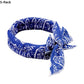 📢📢40% DE RÉDUCTION !! ⏰❄️ Bandana Rafraîchissant d'Été pour Animaux
