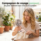 Ventilateur de bureau portable