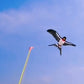 Creative Children's Fishing Rod Kite Toys