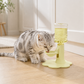 📢📢40% DE RÉDUCTION !! ⏰ Fontaine à Eau pour Chat à Hauteur Réglable – Ergonomique, Anti‑éclaboussure, Pratique ✨