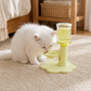 📢📢40% DE RÉDUCTION !! ⏰ Fontaine à Eau pour Chat à Hauteur Réglable – Ergonomique, Anti‑éclaboussure, Pratique ✨