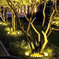 📢📢40% DE RÉDUCTION !! ⏰Anneau Lumineux pour Arbre Extérieur IP65 Étanche