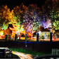 📢📢40% DE RÉDUCTION !! ⏰Anneau Lumineux pour Arbre Extérieur IP65 Étanche