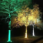 📢📢40% DE RÉDUCTION !! ⏰Anneau Lumineux pour Arbre Extérieur IP65 Étanche