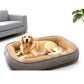 📢📢40 % DE RÉDUCTION !! ⏰Lit Confortable pour Animaux – Mousse de Soutien & Double Texture Respirante pour un Repos Douillet.