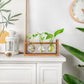 📢📢40% DE RÉDUCTION !! ⏰ Vase minimaliste en verre pour bureau