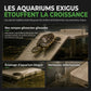 📢📢40% DE RÉDUCTION !! ⏰Plateforme de repos en acrylique suspendue réglable pour tortues, adaptée aux aquariums à haut niveau d'eau