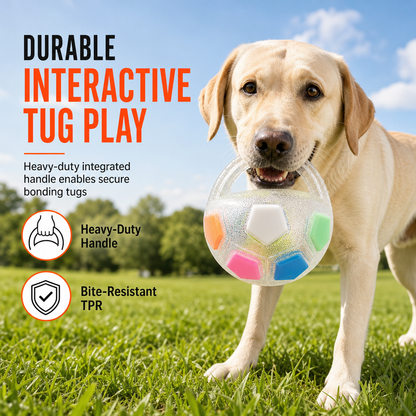 📢📢40% DE RÉDUCTION !! ⏰Ballon de Football Interactif pour Chien avec Languettes de Prise