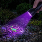 📢📢50 % DE RÉDUCTION !! ⏰Lampe Torche LED UV Haute Puissance à Lumière Noire