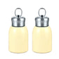 Stylish & Portable Insulated Water Bottle